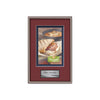 Fenestra VividPrint Metal Framed Award