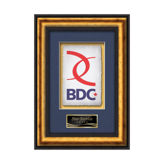 Grazia VividPrint Artisan Paper Framed Award