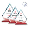 Apex VividPrint™ Award