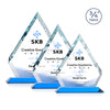 Apex VividPrint™ Award