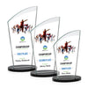 Tomkins VividPrint™ Award
