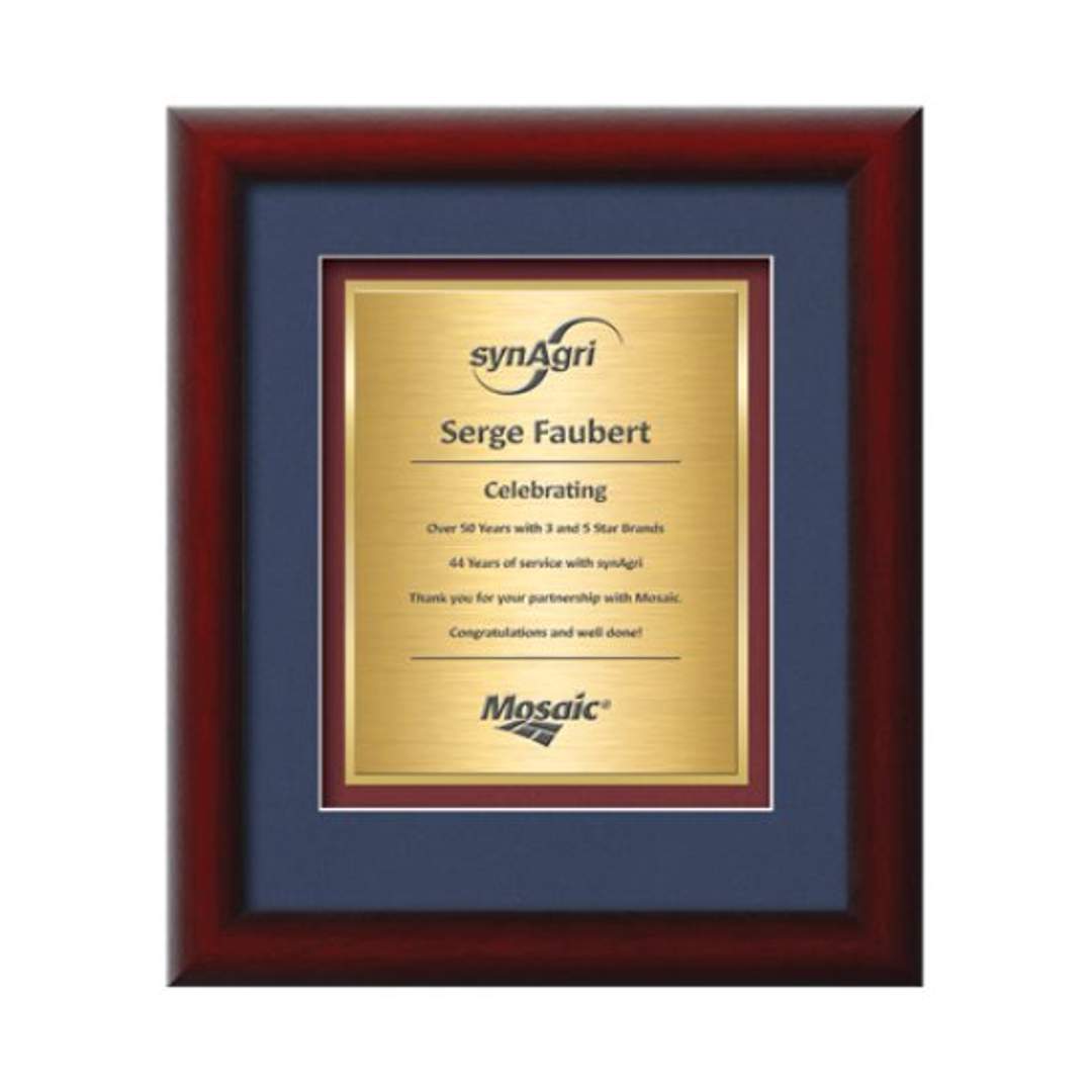 Eco Certificate TexEtch Framed Award