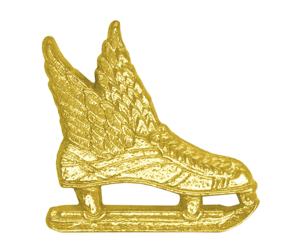 Ice Skate Chenille