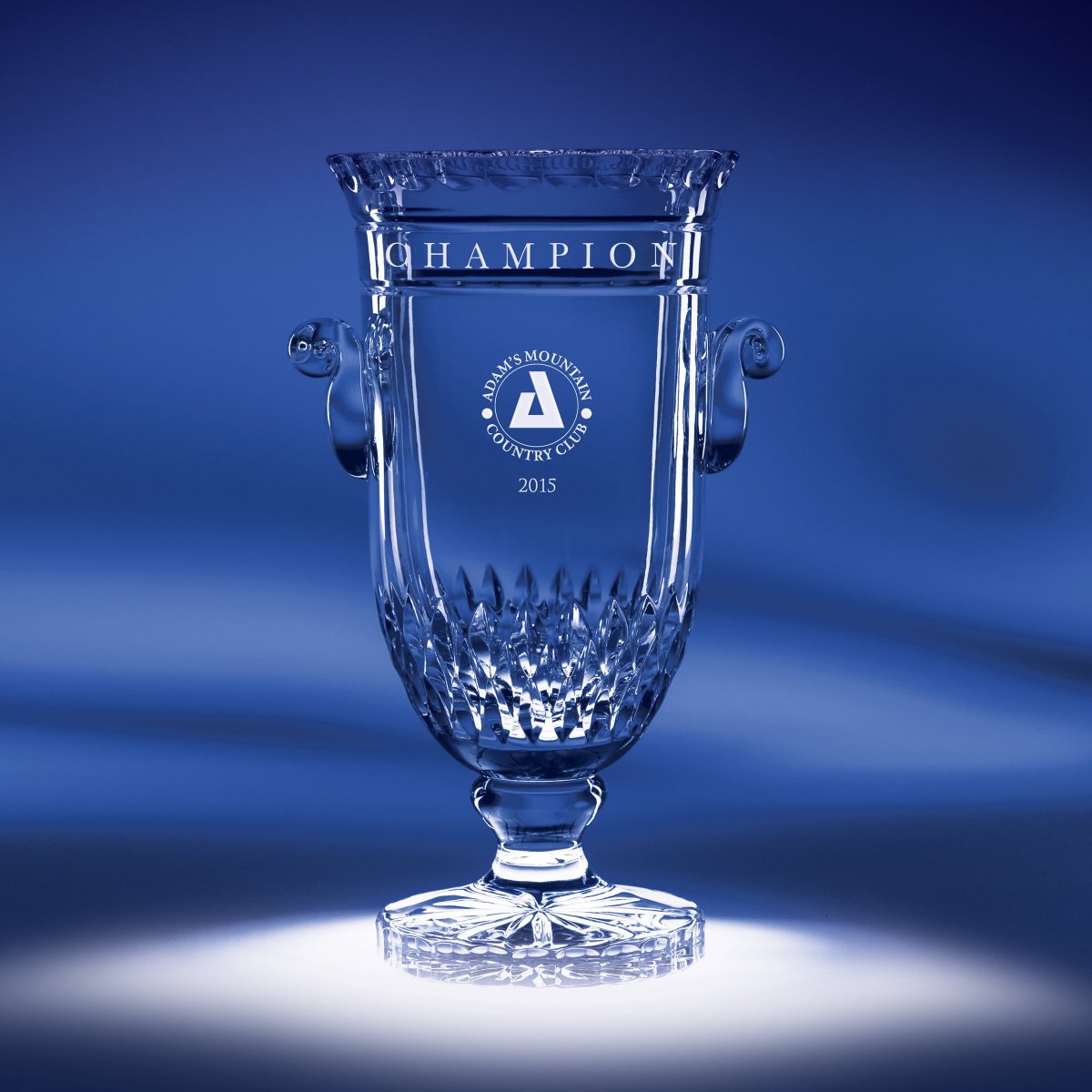 Curator Cup from EtchedWorks