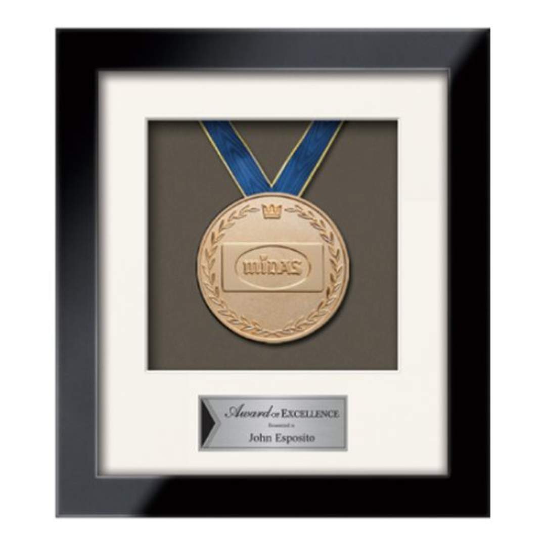 Eldridge Medallion Framed Award