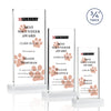 Arizona VividPrint™ Award