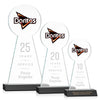 Laidlaw VividPrint™/Etch Award