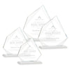 Lexus Award