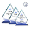 Apex VividPrint™ Award