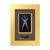 Premier Framed Award