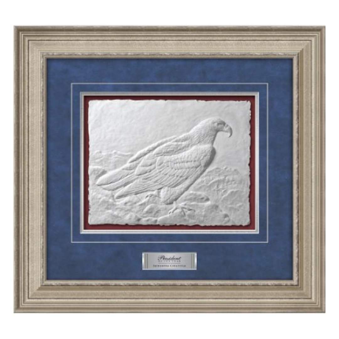 Wings of Valor Framed Award