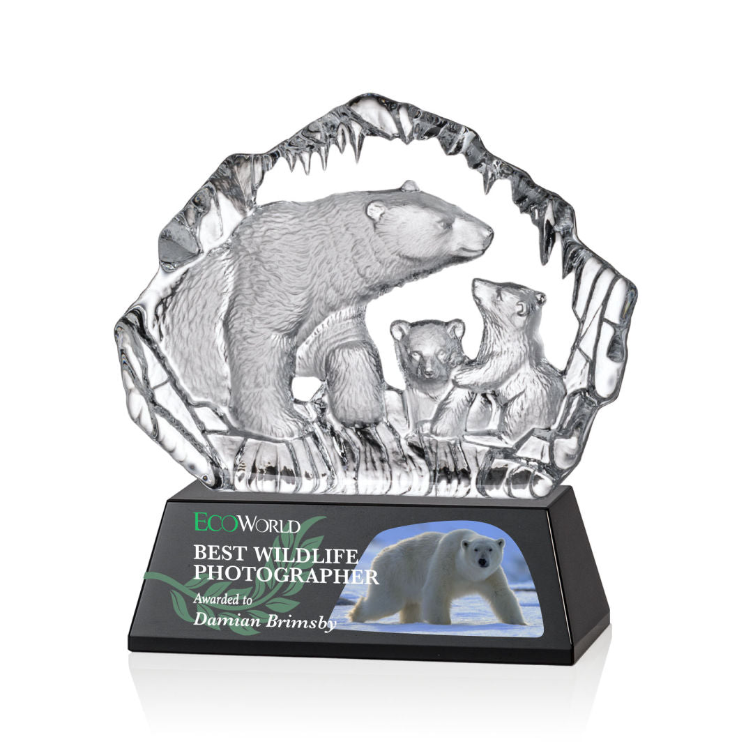 Ottavia Polar Bears VividPrint™ Award
