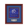 Raven Framed Award