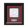 Omni Cast Paper Framed Award