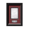 Omni Cast Paper Framed Award