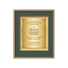 Fenestra Certificate TexEtch Framed Award