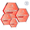 Gilford Hexagon VividPrint™ Double Sided Award