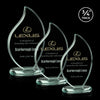Odessy Flame Award