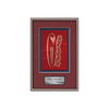 Fenestra Framed Award