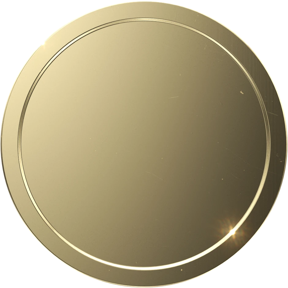 Everyday Double Sided Coins