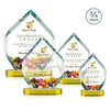 Royal Diamond VividPrint™ Award on Alberton Base