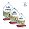 Deerhurst Ice Peak VividPrint™ Award