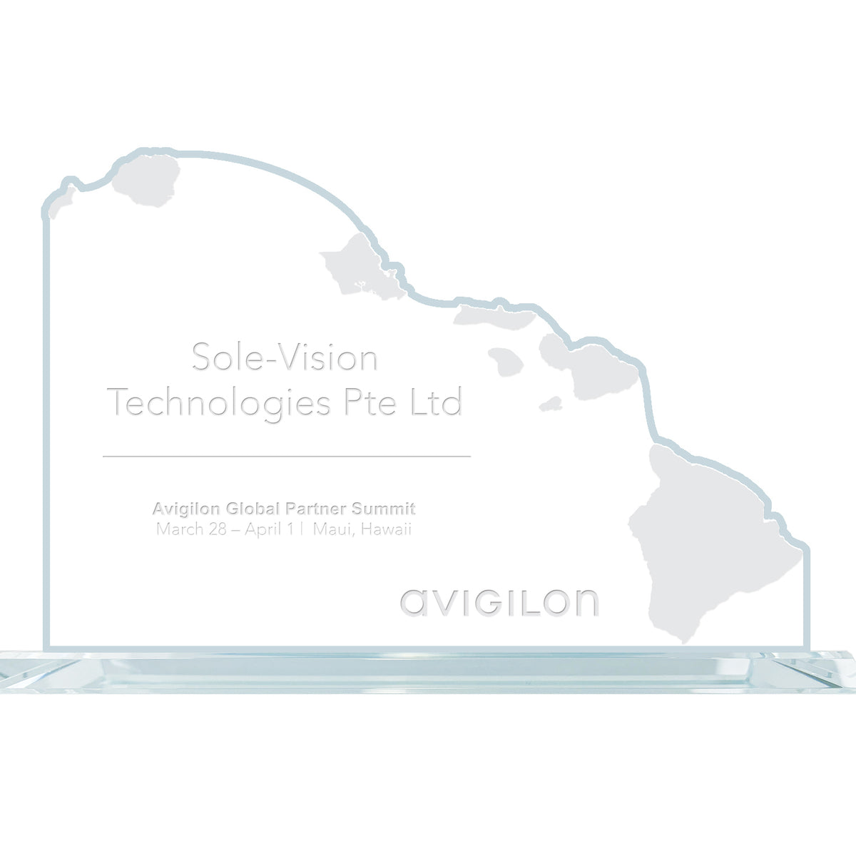 State Map Award -  Hawaii