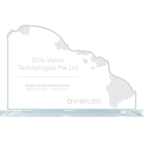 State Map Award -  Hawaii
