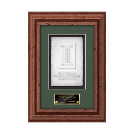 Terrene Cast Paper Framed Award