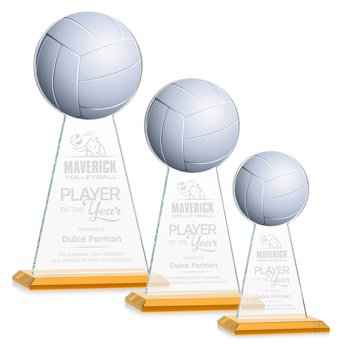 Edenwood Volleyball Award - Amber