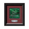 Omni Framed Award