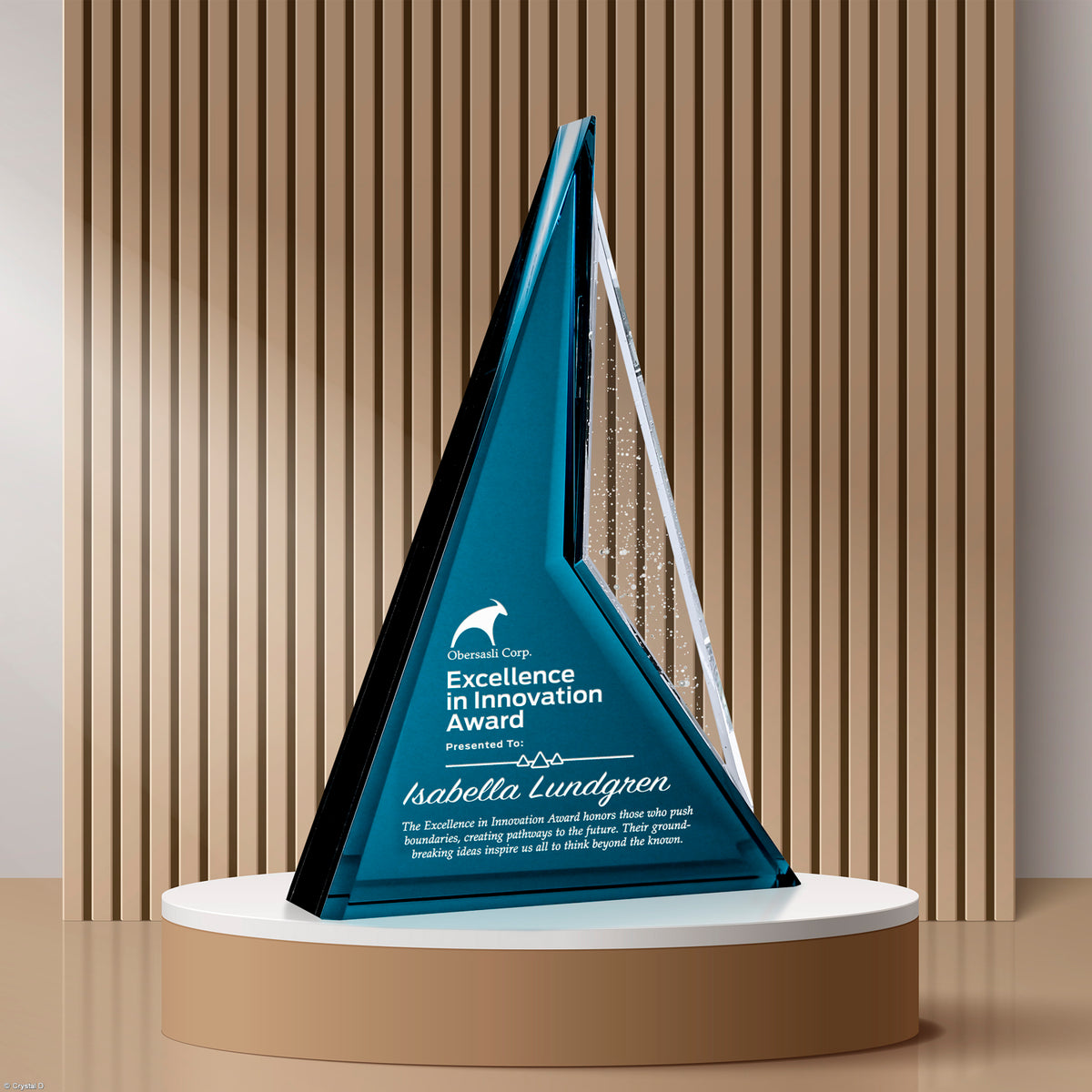 Endurance Award 11-1/2" - Crystal D