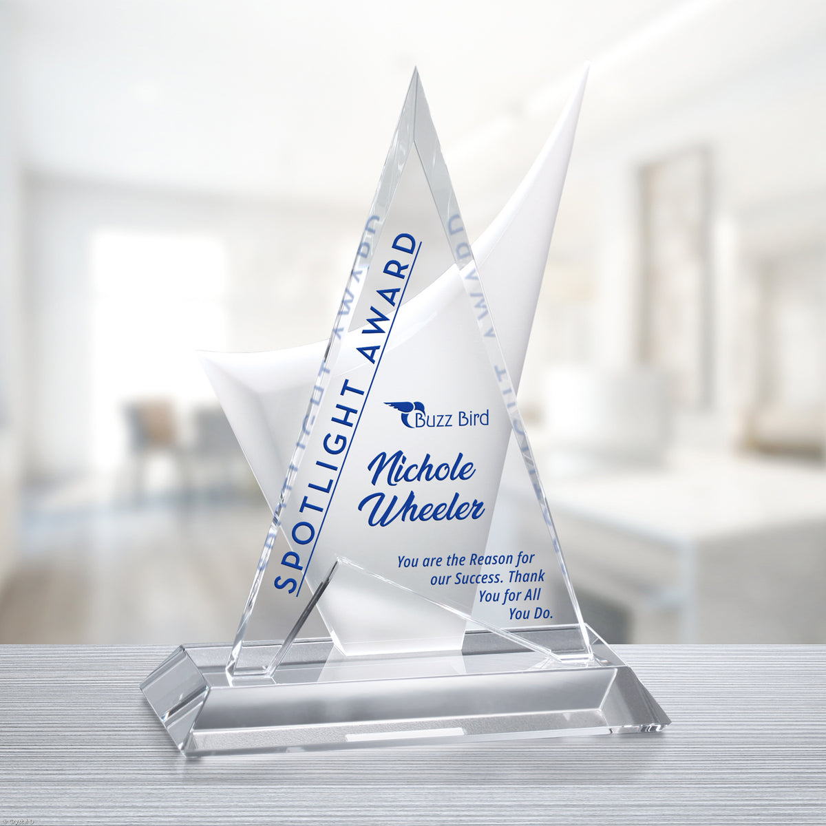 Enterprise Award 10-1/2" - Crystal D