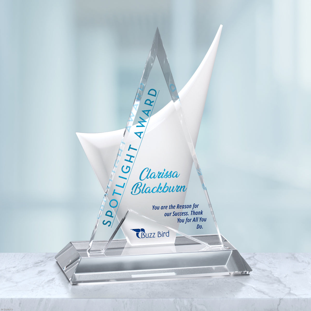 Enterprise Award 11-1/2" - Crystal D