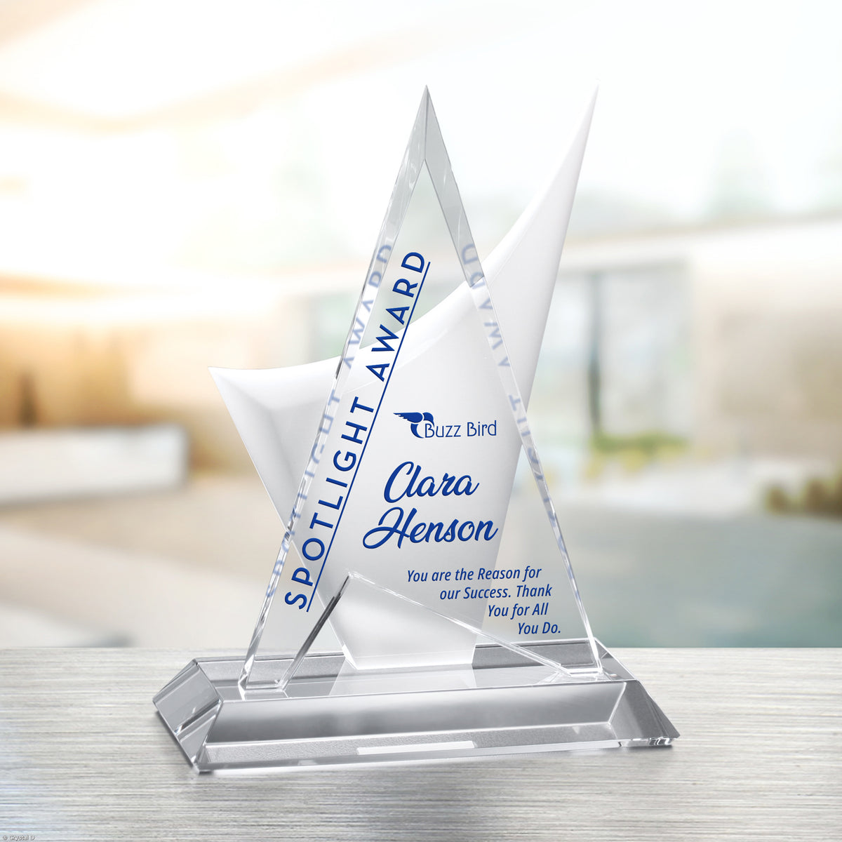 Enterprise Award 8-1/2" - Crystal D