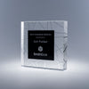 Organique Optic Crystal Award