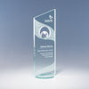 Perspective Globe Award