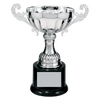 Classic Metal Cup Trophy