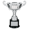 Classic Metal Cup Trophy