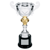 Tall Metal Cup Trophy