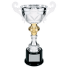 Tall Metal Cup Trophy