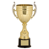 Gold and Silver Plastic Cup Trophy