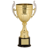 Gold and Silver Plastic Cup Trophy