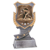 Wrestling Shield Award