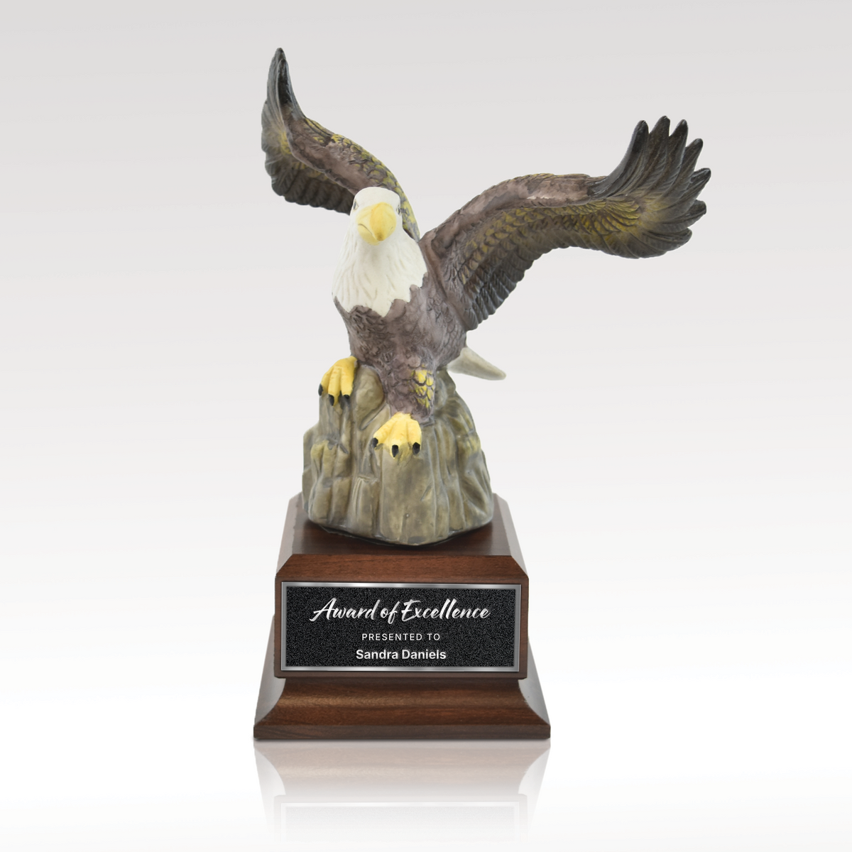 Eyrie product view
