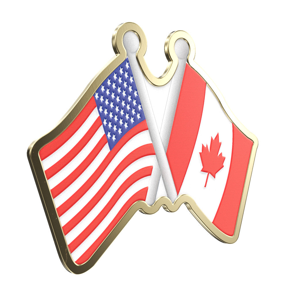 Express Dual Flag Shaped Lapel Pin