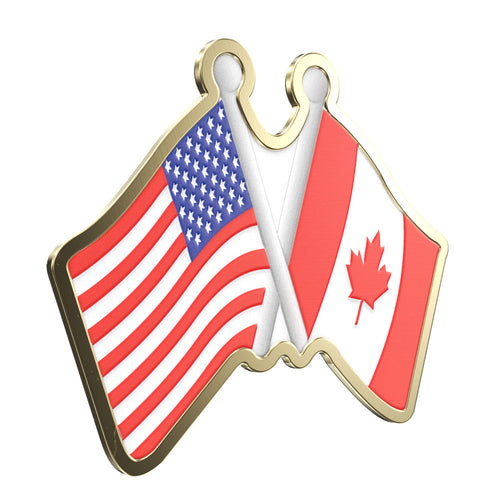 Express Dual Flag Shaped Lapel Pin