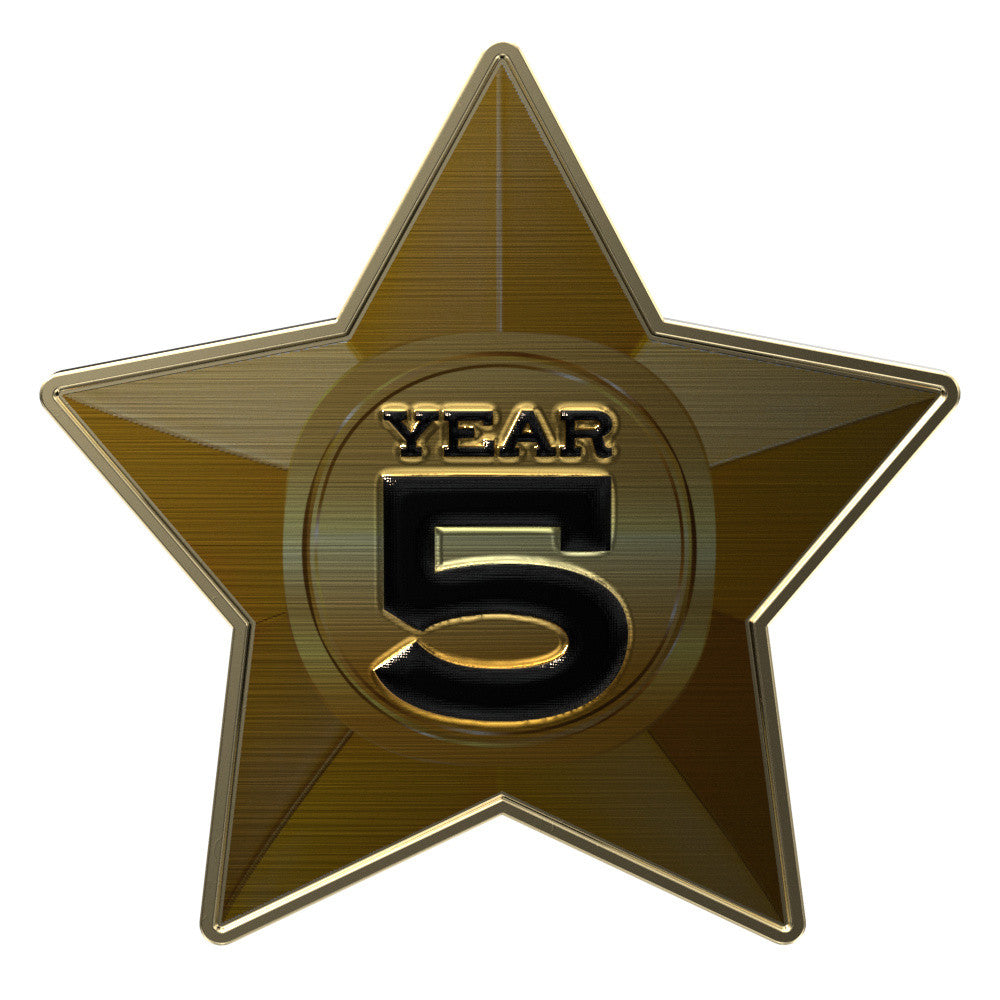 Express Gold Star Lapel Pin