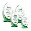 Windermere VividPrint™ Award