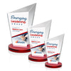 Wiltshire VividPrint™ Award